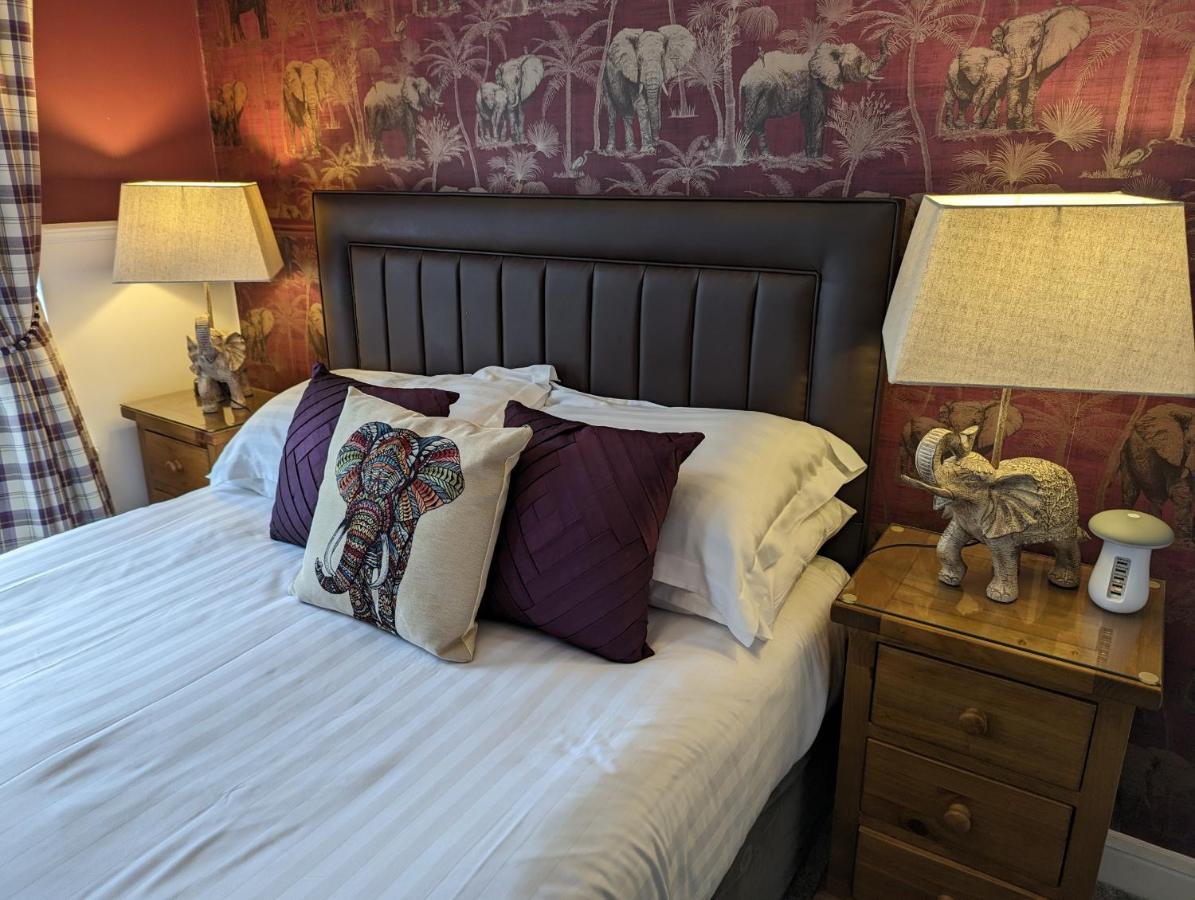Bed and Breakfast Abingdon House Torquay Zewnętrze zdjęcie
